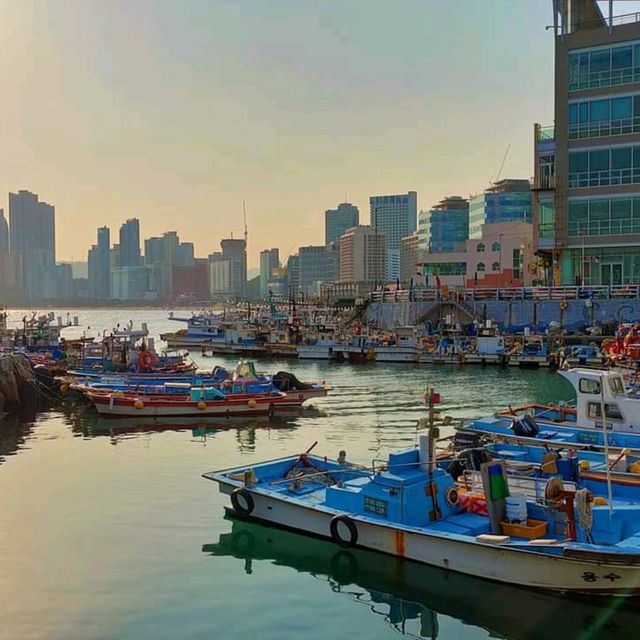 SLOW LIFE COLORFUL @ BUSAN 