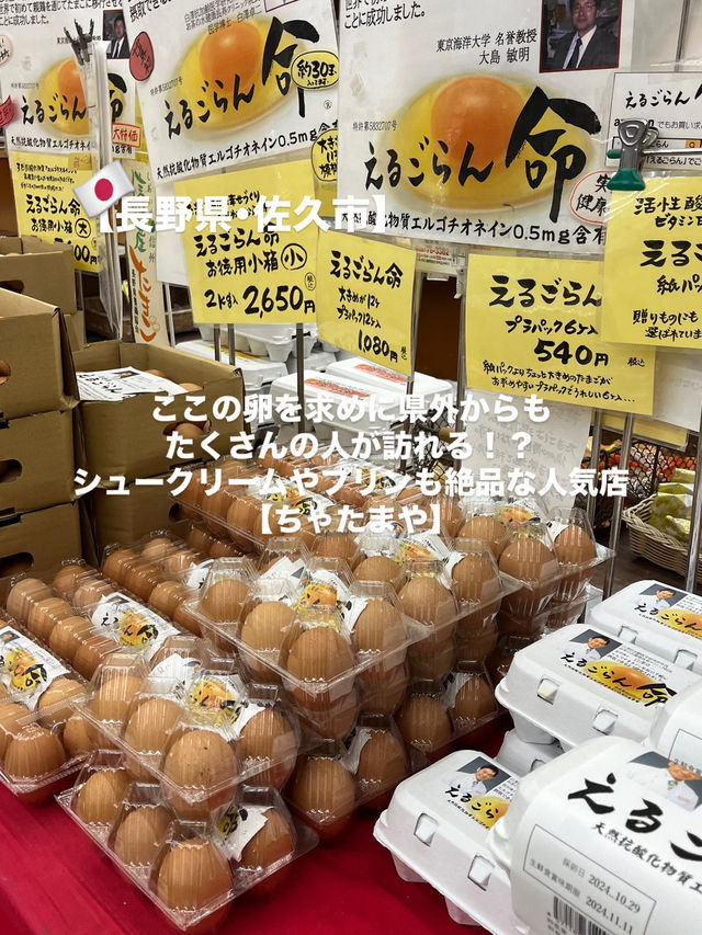 【佐久市】卵が絶大な人気を誇る大人気店🥚
