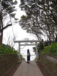 茨城｜鳥居越しに海が見える神社