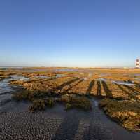 Explore the beauty of Gaomei Wetland Taichung