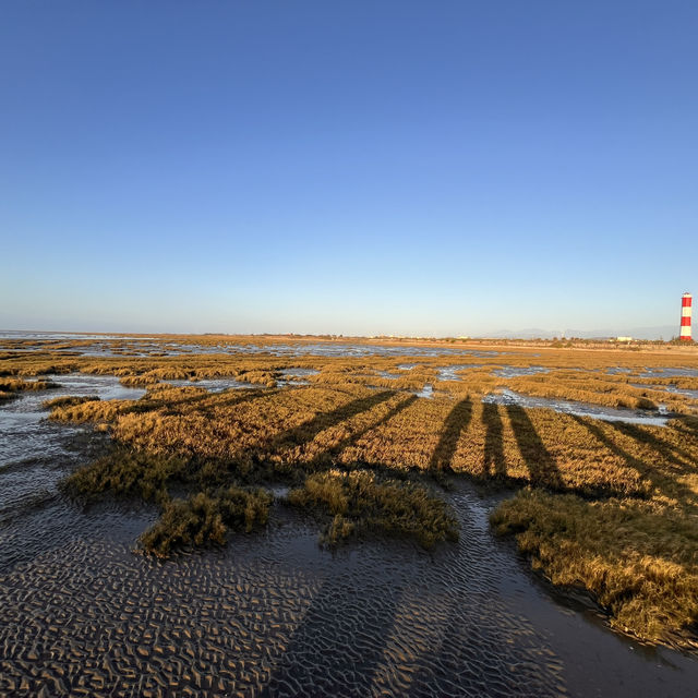 Explore the beauty of Gaomei Wetland Taichung