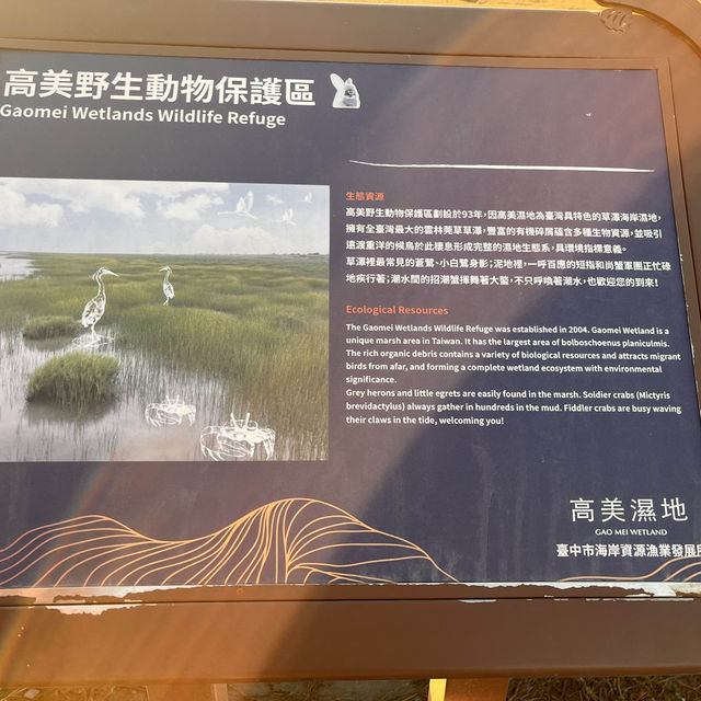Explore the beauty of Gaomei Wetland Taichung