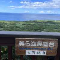 【沖縄】沖縄本島最北端！！！自然のパワースポット🌳