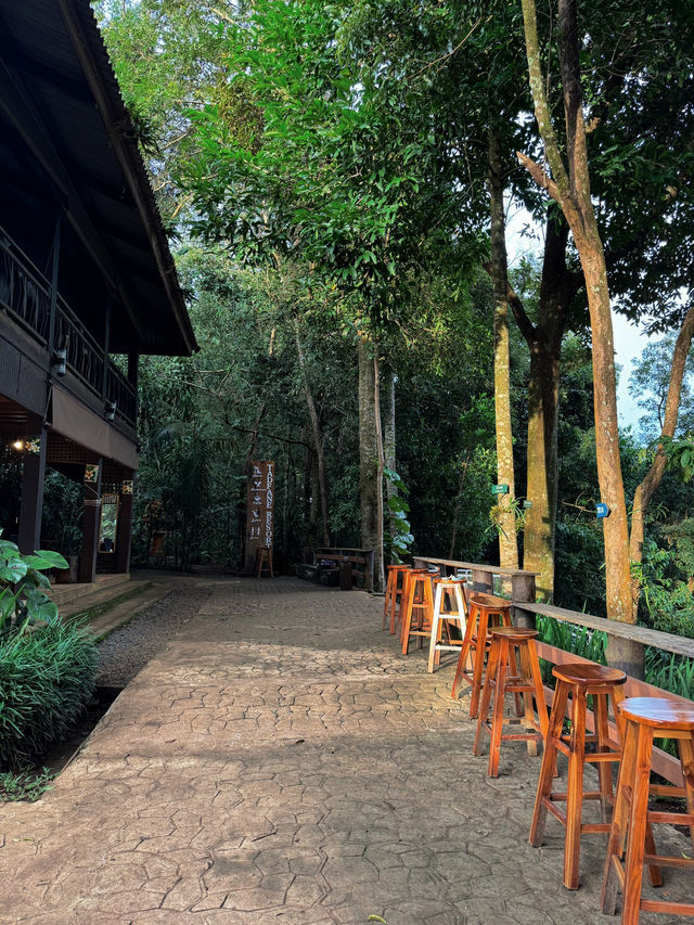 เที่ยวน้ำตก เล่นzipline ที่ลาวใต้