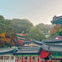 고즈넉한 가을을 제대로 즐길 수 있는 절 여행지