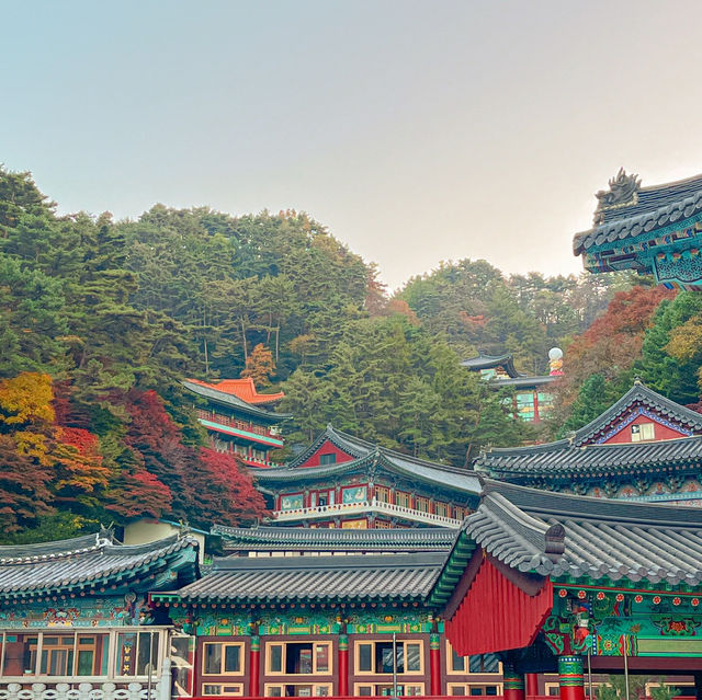 고즈넉한 가을을 제대로 즐길 수 있는 절 여행지