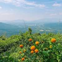 #อุทยานแห่งชาติทับลาน #มรดกโลก #ผาเก็บตะวัน 