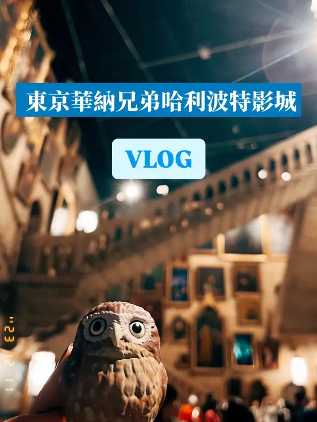🇯🇵日本東京華納兄弟哈利波特影城VLOG✨