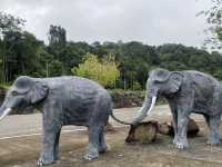 ป่าในเมือง ประตูสู่อันดามัน🐘