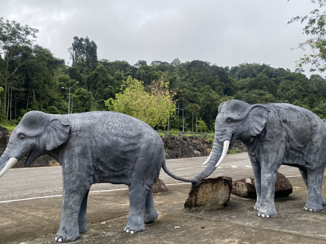 ป่าในเมือง ประตูสู่อันดามัน🐘