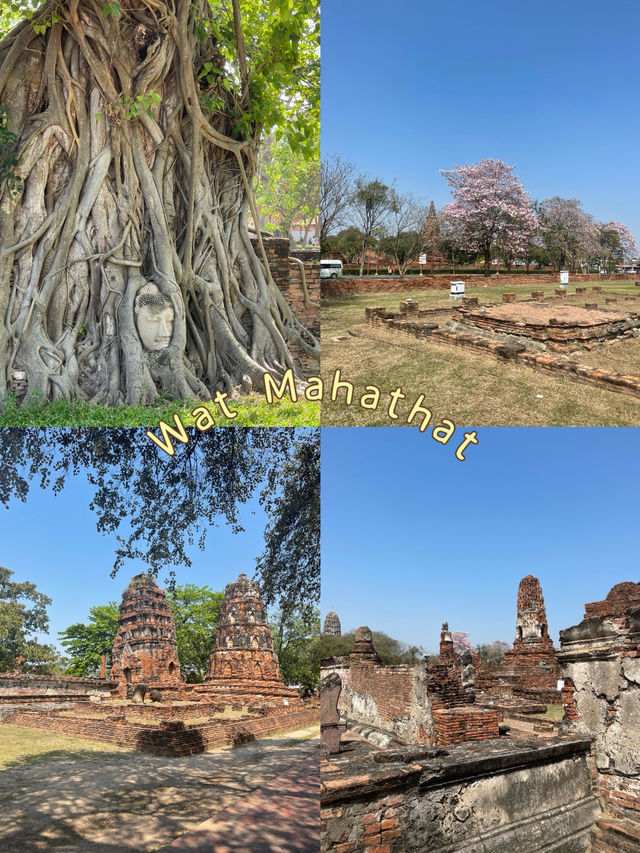 ตามรอยลิซ่าที่วัดมหาธาตุ
