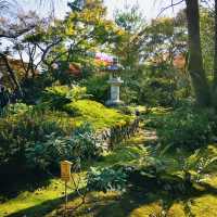 Autumn Bliss: Exploring Tenryuji’s Stunning Fall Colors!