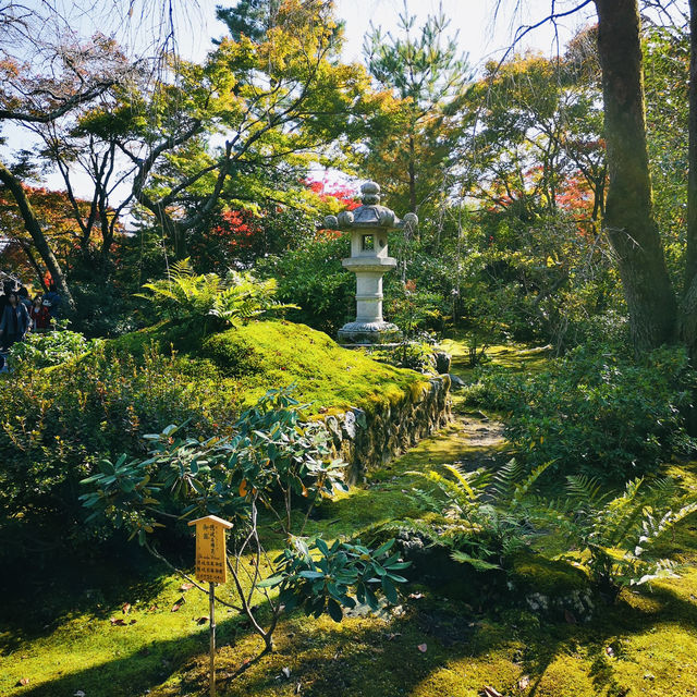 Autumn Bliss: Exploring Tenryuji’s Stunning Fall Colors!
