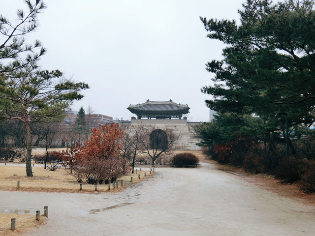 探訪景福宮：韓國的歷史瑰寶 🏯🇰🇷