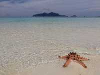 Paradise Found: A Day at Pulau Sibuan, Sabah
