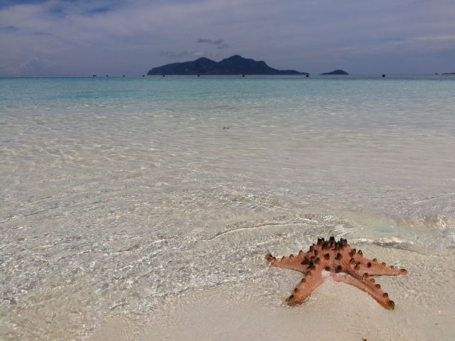 Paradise Found: A Day at Pulau Sibuan, Sabah