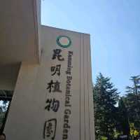 Fall season in Kunming 