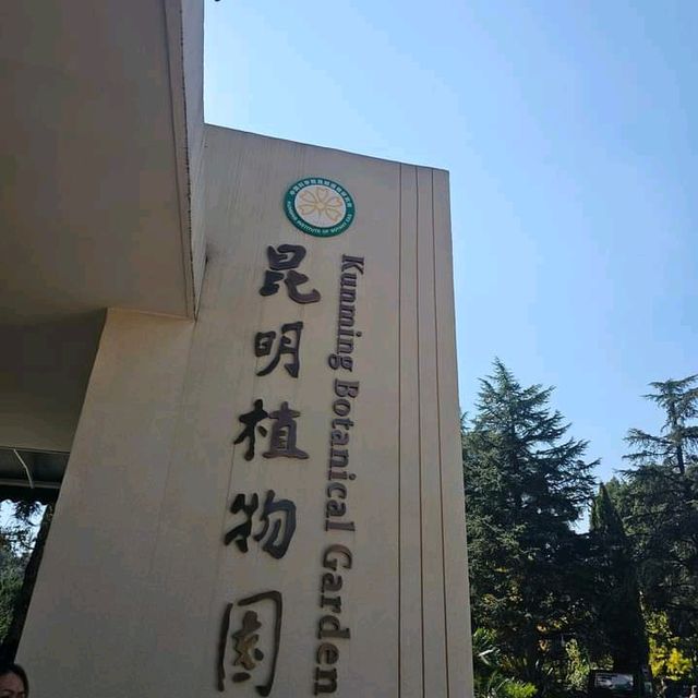 Fall season in Kunming 