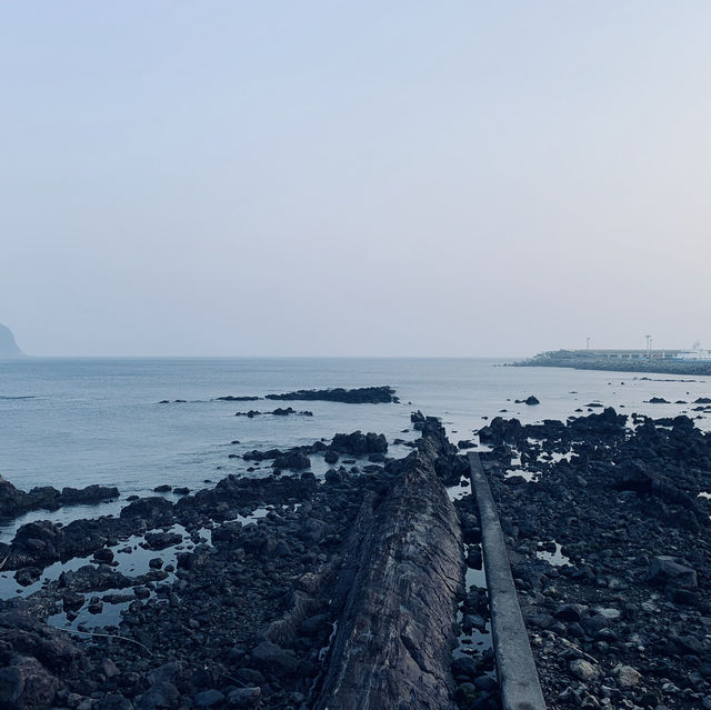 친구랑 제주 동백꽃여행🌺히든클리프에서 힐링하고 야무지게 놀기🎧