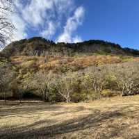 【屏風岩公苑】　曽爾高原