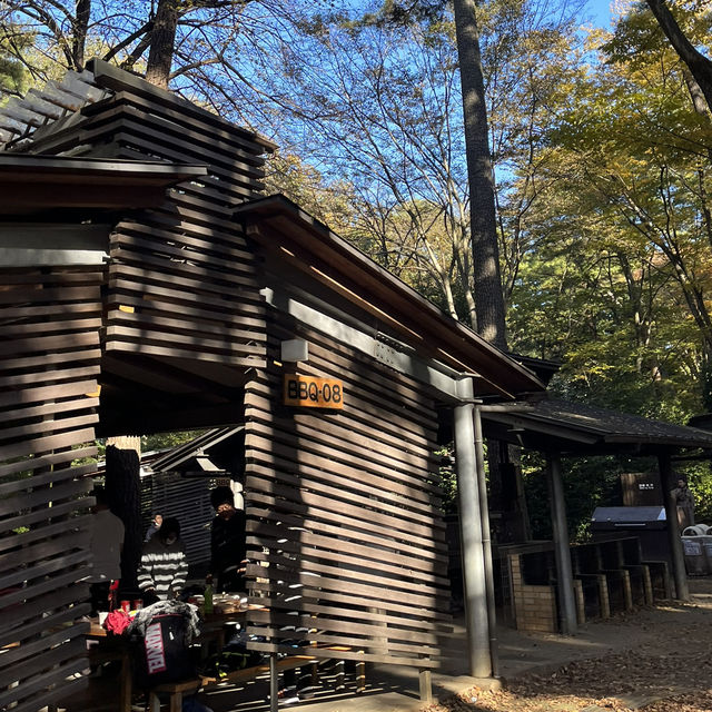 일본 치바 캠프&캠프장 [시미즈 공원 캠프장]🏕️