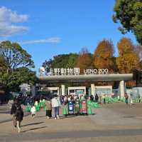 Ueno Park2024