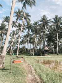 The best village experience @ Kampung Agong 🥥
