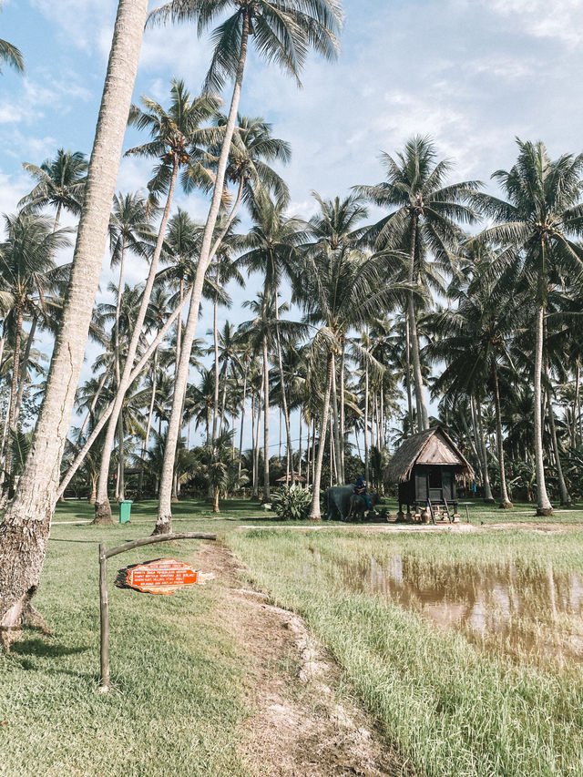The best village experience @ Kampung Agong 🥥