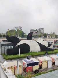 ตามหา แพนด้ายักษ์ เซลฟี่ ที่เมือง Dujiangyan