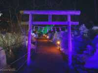 【埼玉県】秩父三大氷柱の一つ！ライトアップが迫力の「あしがくぼの氷柱」