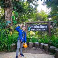 ไปเล่น zipline ที่น้ำตกตาดฟาน ประเทศลาว