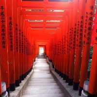 ศาลเจ้าฮิเอะที่มีเสาโทริอิเรียงรายอีกแห่งในโตเกียว