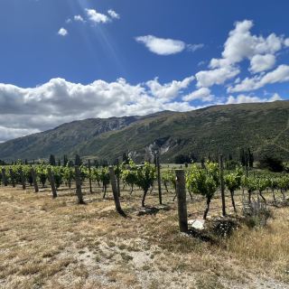 Wine Valley Tour and Excellent E-bikes! 