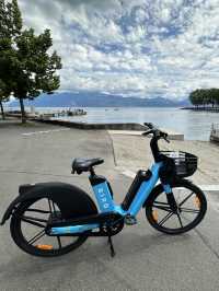 🇨🇭浸在洛桑湖畔悠閒中🚴湖畔踩單車享受謐靜