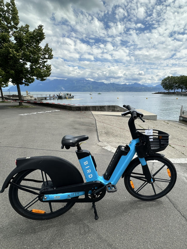 🇨🇭浸在洛桑湖畔悠閒中🚴湖畔踩單車享受謐靜