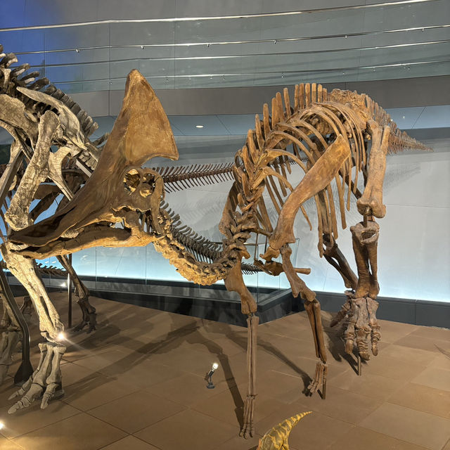 【福井旅行】恐竜博物館🦕