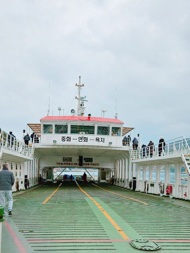 멋진 배를 타고 하는 국내 여행🚢
