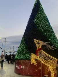 겨울의 해운대 겨울에만 볼 수 있는 해운대빛축제 🎄✨