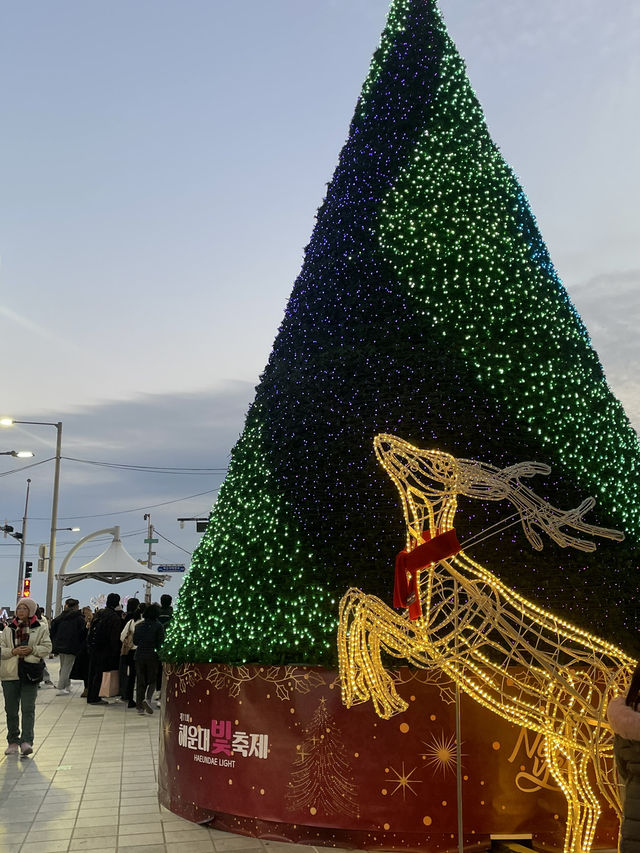 겨울의 해운대 겨울에만 볼 수 있는 해운대빛축제 🎄✨