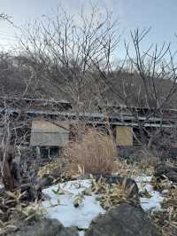 【栃木】温泉好きなら絶対に行ってほしい‎🤍1300年の歴史の元湯