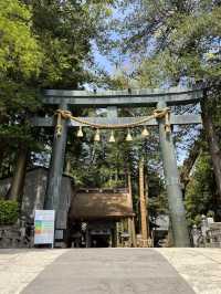 【長野】全国2.5万社以上ある諏訪神社の総本社でパワーチャージ!!