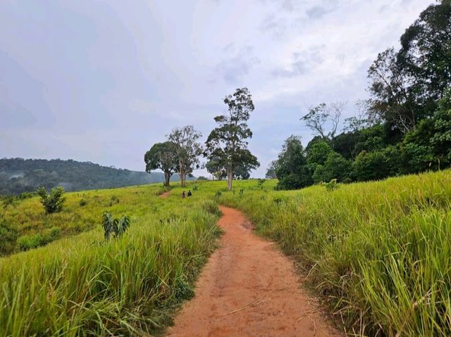 หอดูสัตว์หนองผักชี เที่ยวเขาใหญ่ นครราชสีมา