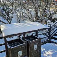 ภูเขาหิมะเจี่ยวจือ [Jiaozi snow mountain]
