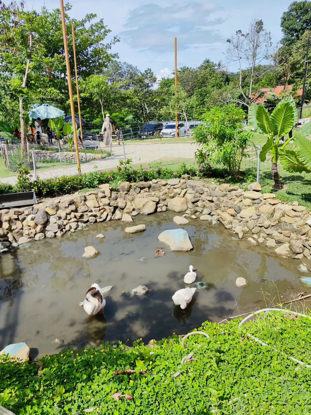 A Delightful Visit to Wisata Bukit Domba