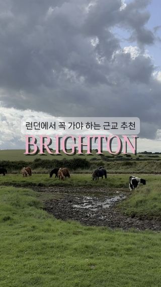 런던 근교 여행 하면 무조건 이곳을 추천해요🇬🇧