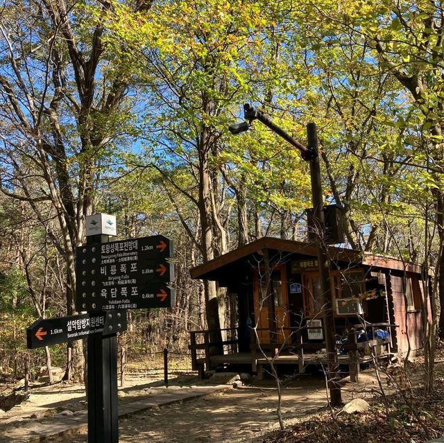 Seoraksan Awaits: Discover Korea's Majestic Mountain Paradise!