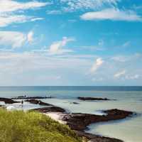 Gimnyeong Beach: Jeju’s Rising Coastal Star