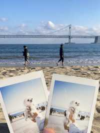 강아지와 함께하는 광안리 여행!🐕🌊