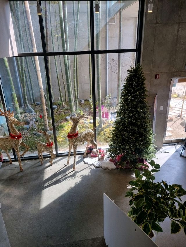 🌿 해월당 대구동촌유원지점, 감각적인 공간에서 맛보는 베이커리 🍰