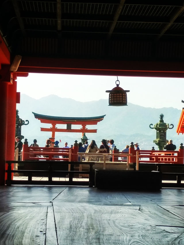 廣島｜追潮汐賞鳥居 宮島漲退潮都是美景